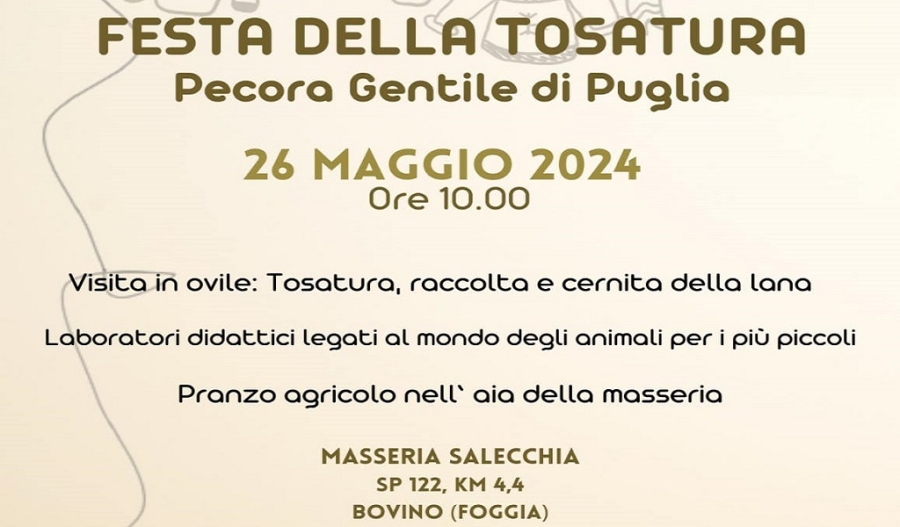 foggia2-26mag