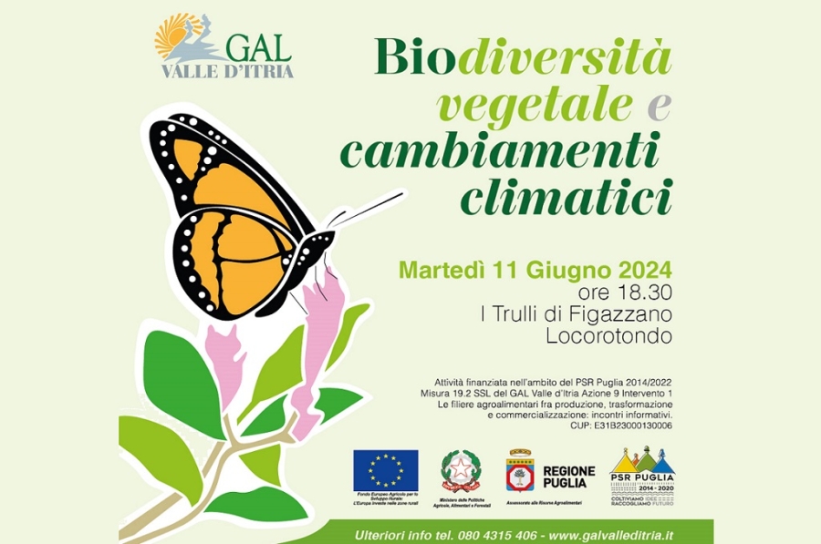 galvalleditria-11giu